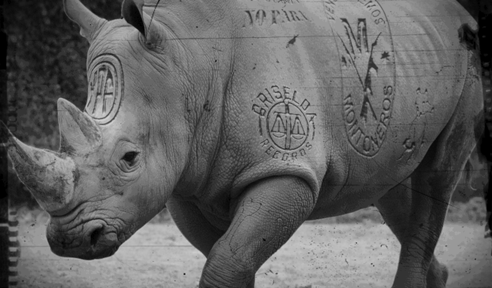 Nuestro animal sagrado (valga la ironia).